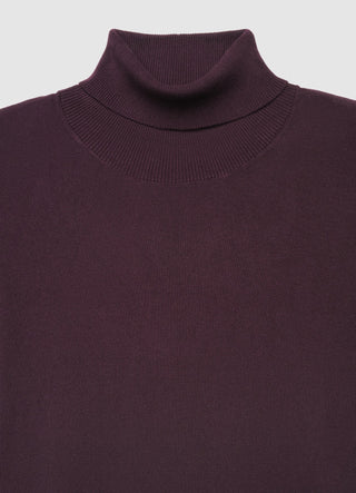 Einfarbiger Rollkragenpullover