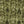 SW-SAB0085300001-S335.jpg