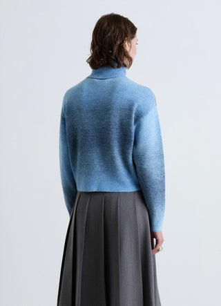 Faded turtleneck sweater