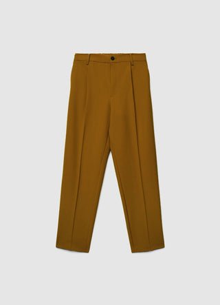 Trousers with pleats and elasticated waistband