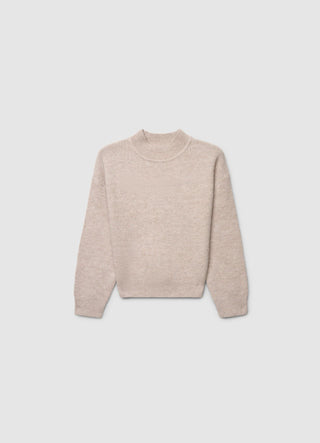 Pull col roulé uni
