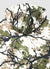 Oversize Hoodie mit Kapuze und Camouflage-Print